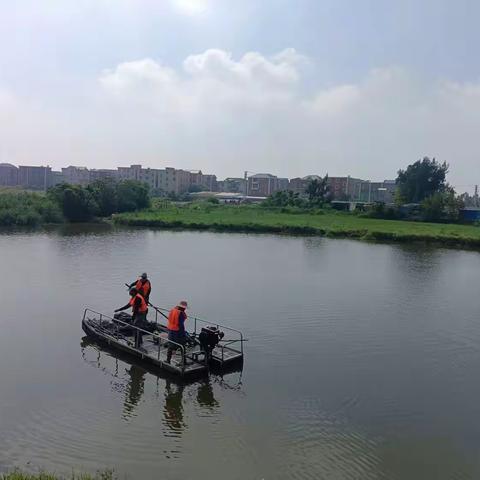 城头镇开展河道清理整治 筑牢河道水生态环境