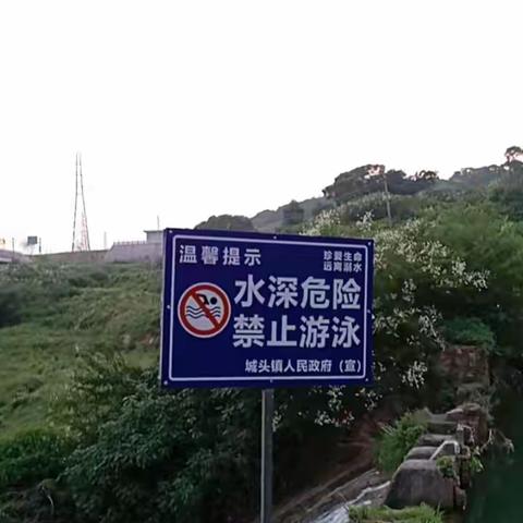 城头镇8月河长制工作合集