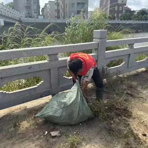 城头镇9月河长制工作合集