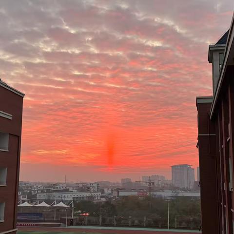 宝外语文教研活动