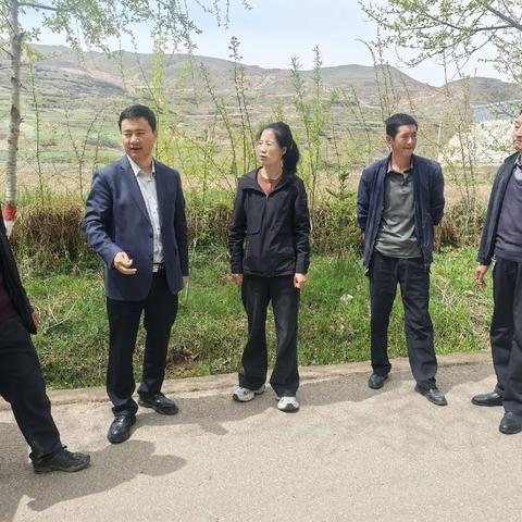 新城镇扎实开展全域无垃圾综合整治“十大行动”百日攻坚工作（第十三期）