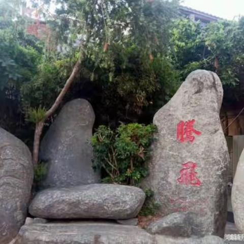 东峤珠江小学“庆元旦”系列活动