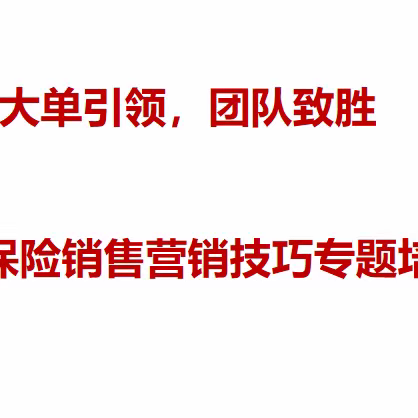 “大单引领 团队致胜”期缴保险销售营销技巧专题培训