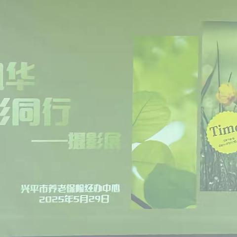 定格岁月光影 记录养老温度