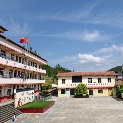 精准把脉指方向 ﻿ 专业赋能促成长