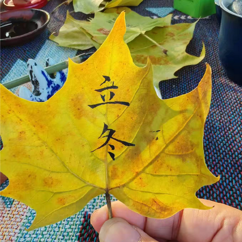 立冬拾趣：解锁节气里的冬日浪漫