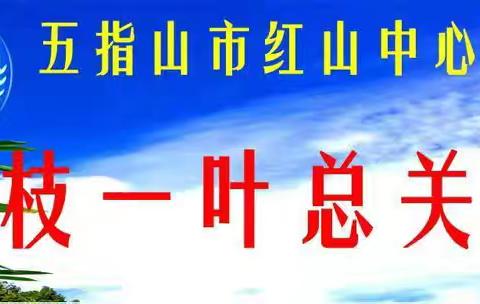 快乐放暑假，安全不放假——申中乡中心学校放暑假通知及温馨提示🔔