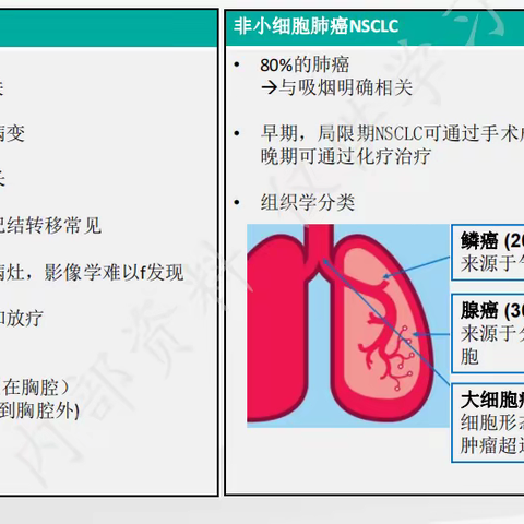 ProGRP、NSE、SCCA、Cyfra21-1临床应用