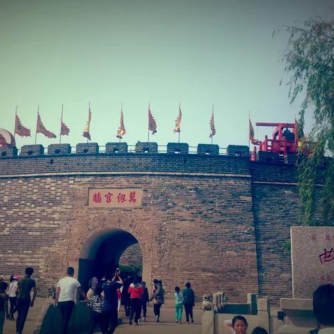 从来齐鲁青未了