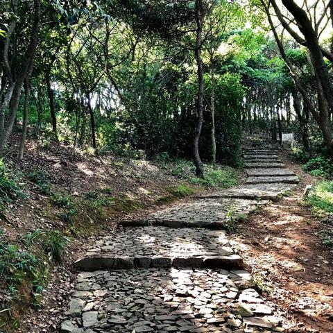 苏州东山莫厘峰