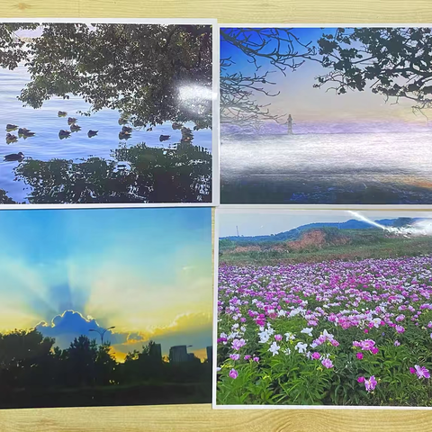 童心绘自然，书香伴成长———实验小学一年级“我眼中的大自然”摄影绘画展