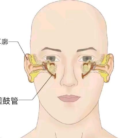 您是否经常感到耳闷耳胀？【科普】