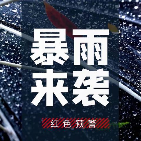 最美物业人——高远物业玫瑰园项目抗洪一线的坚守
