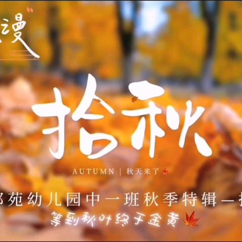 秋游季·记秋游🍂——名都苑幼儿园秋游活动