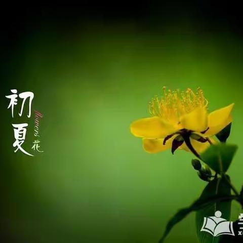 楚河诗社2023年第10期（总第77期）作品