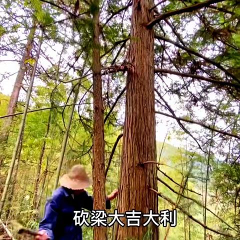 上梁习俗