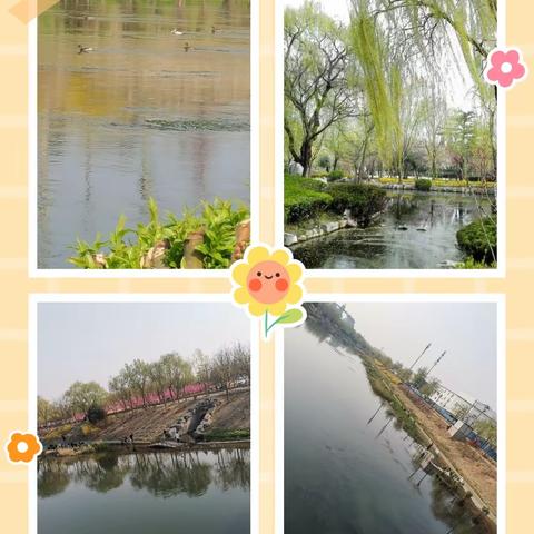 🌱 春日无限好，野餐要趁早🎈