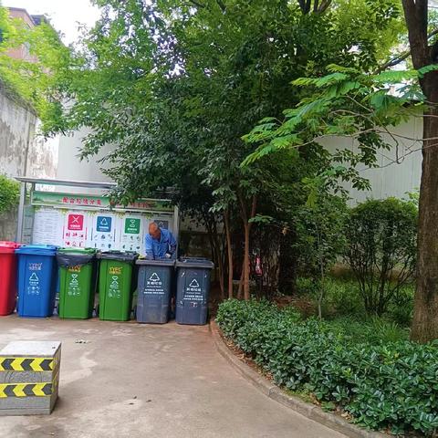 大雁塔社区垃圾分类本周小结