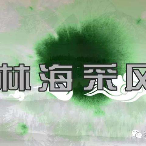 【党建+德育】优秀教师先进事迹展播—平凡的你像阳光一样温暖，山市镇中心校教师王巍