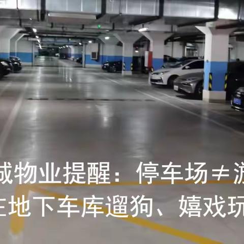 世界城物业提醒：停车场≠游乐场，请勿在地下车库遛狗、嬉戏玩耍！