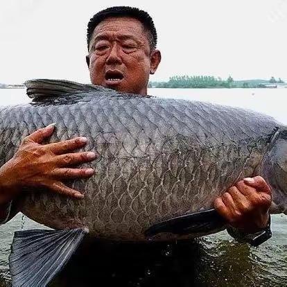 洗洛巨物塘