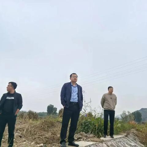 汉儿庄镇：打通民心“幸福路”，提升群众满意度