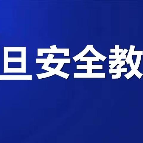 河津市第九小学2024年元旦放假安全告知书