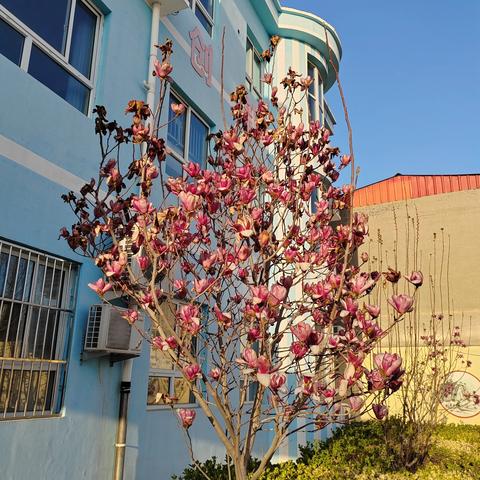 “小手动起来，劳动展风采” ————2025年承安学区劳动技能竞赛