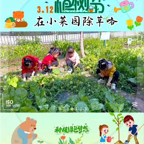 🌿播种绿色梦想☀️———启发幼儿园大一班