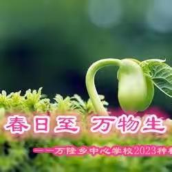 春日至  万物生——万隆乡中心学校2023种植劳动实践活动启动