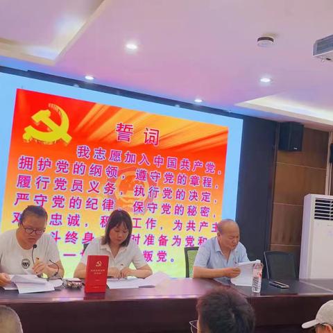 七一党旗红||双府社区党总支开展“光荣在党50年”纪念章颁发仪式暨党总支书记“七一”讲党课活动