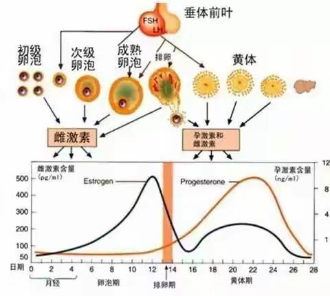 卵巢功能减退的征兆有哪些？