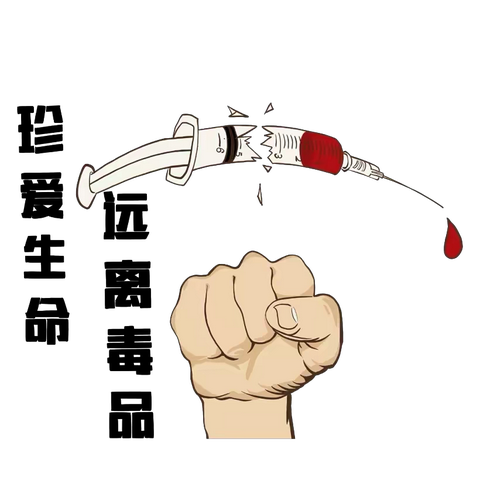 白寺镇禁毒科普小课堂 开课啦！