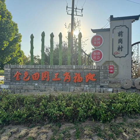 白寺镇前岗村开展﻿“红心向党庆七一，砥砺奋进新征程”主题活动