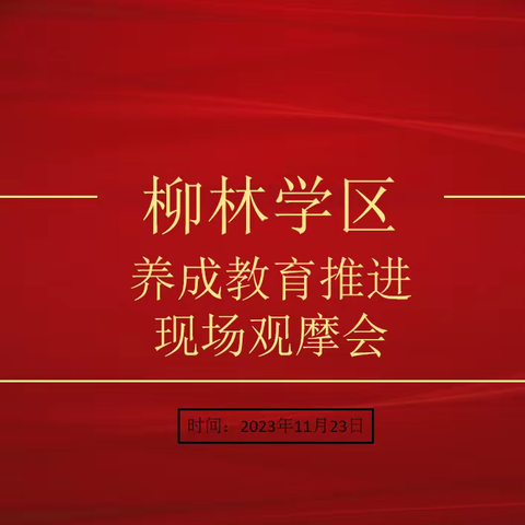 以滴水穿石的精神抓养成教育—柳林学区召开第二阶段养成教育现场观摩活动