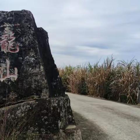 龙丨山丨行