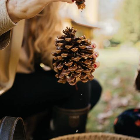 法系芳疗在您身边——愉悦身心的精油分享