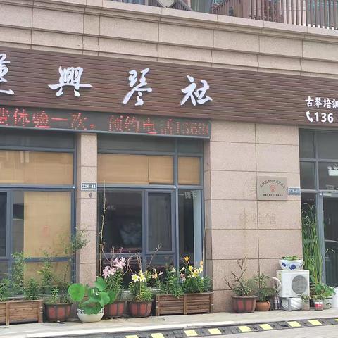 莲兴琴院春季小班课招生