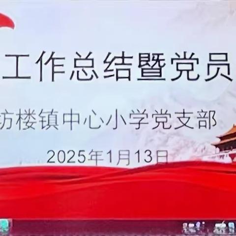 坊楼镇中心小学党支部党建工作总结暨党员大会