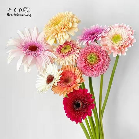 中医院普外科周工作汇报