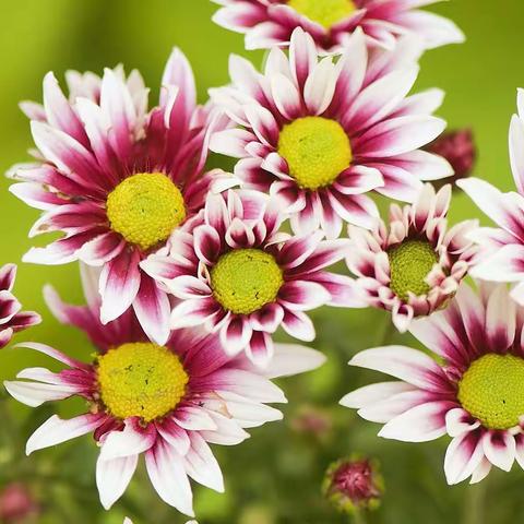 曲沃县外科中医院周工作汇报