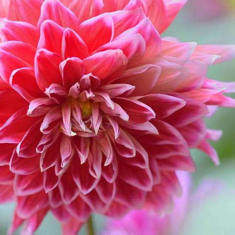 中医院普外科周工作汇报