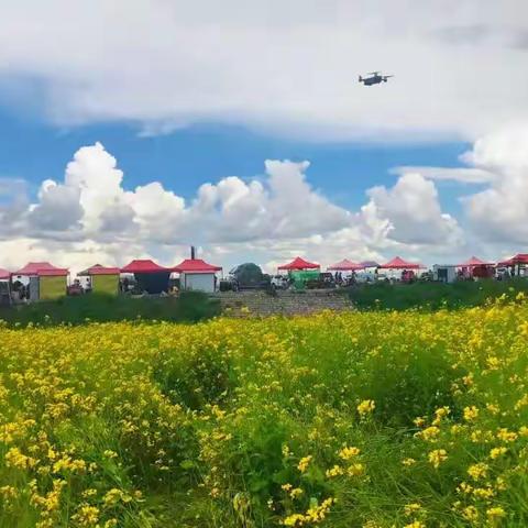 中医院外科周工作汇报