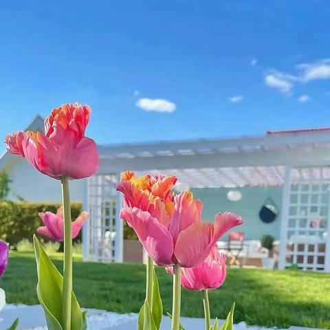 曲沃县中医院外科周工作汇报