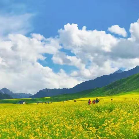 曲沃县中医院外科周工作汇报