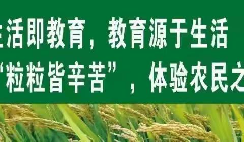 感悟“粒粒皆辛苦”，体验农民之不易 ——记实验小学四年二班假日小队