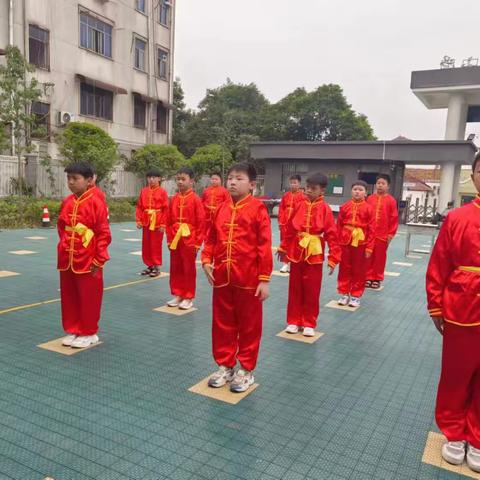 勇武精神，传承文化———确山县第三小学武术社团