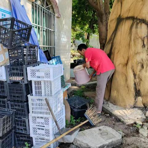 勤丰村开展基孔肯雅热防蚊工作