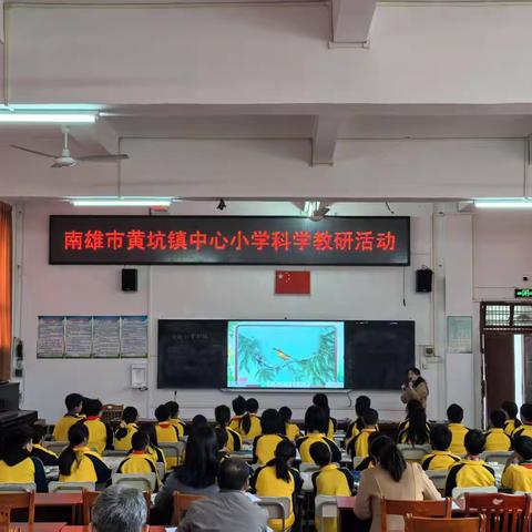 城乡合力，绽放科学课堂之美——黄坑镇中心小学科学教研活动