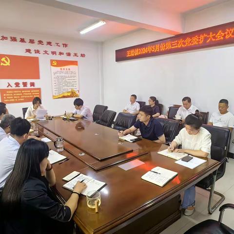 王助镇召开2024年5月份第三次党委扩大会